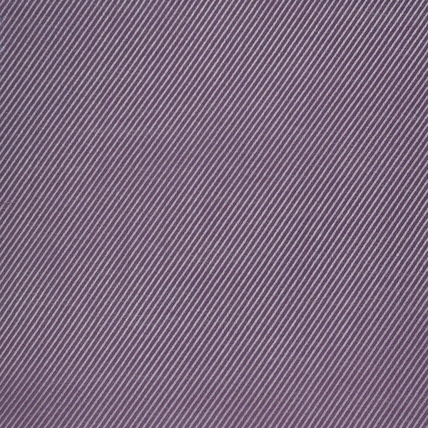 Picture of Premium Egyptian Cotton For Shirt