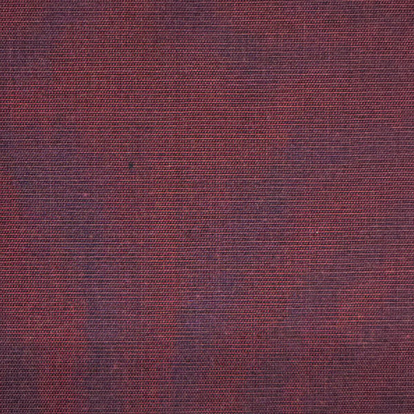 Picture of Wrinkle Free Cotton in Plain Colour For Shirt