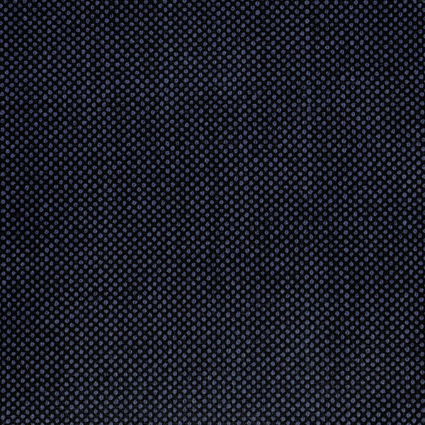 Picture of VITALE BARBERIS CANONICO 1663 Perennial